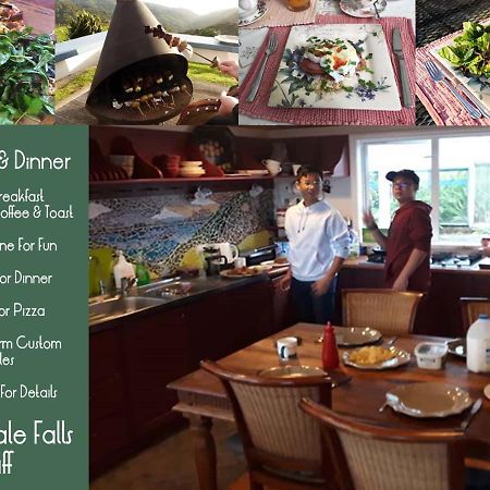 Nightingale Falls Farm Stay Retreat Thames Extérieur photo
