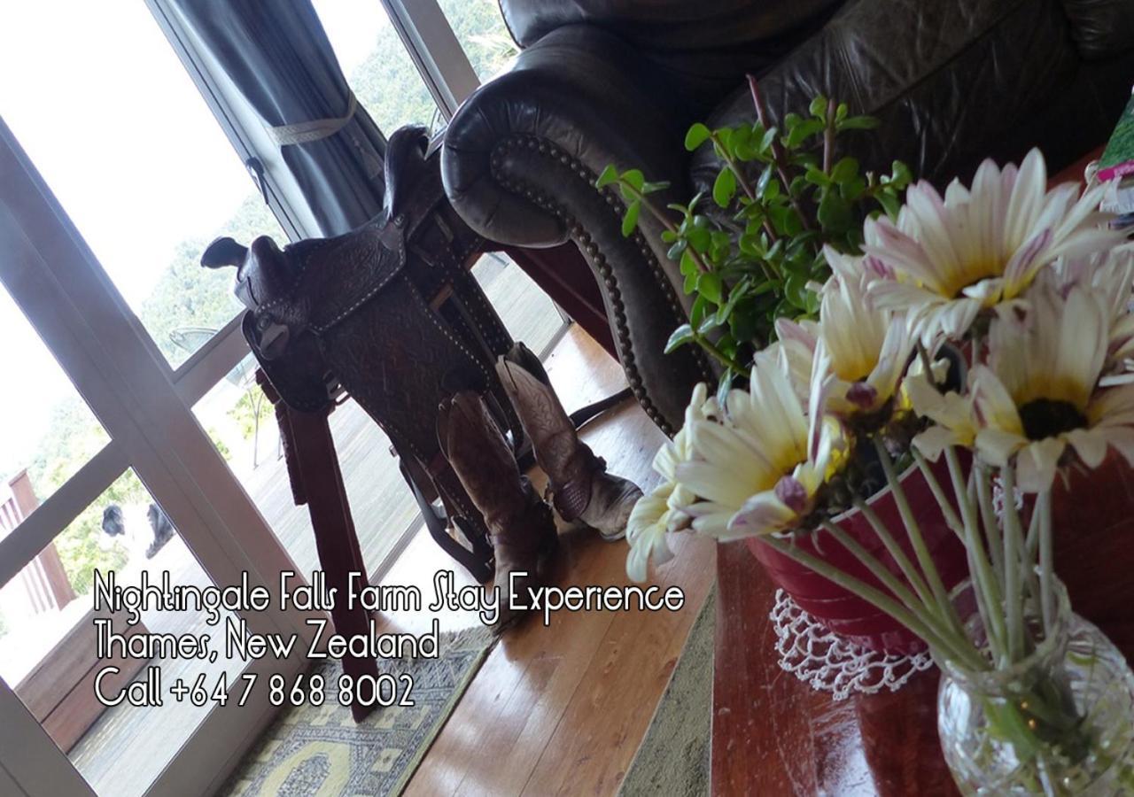 Nightingale Falls Farm Stay Retreat Thames Extérieur photo