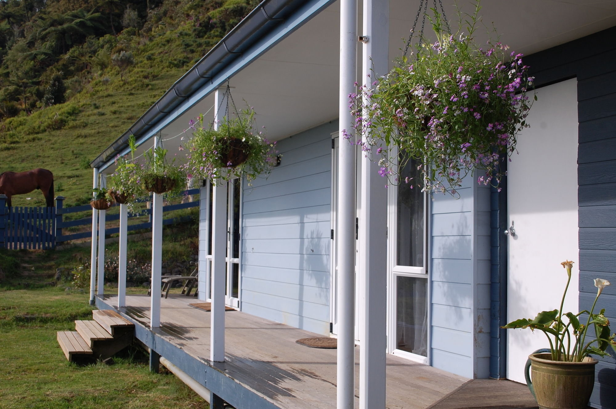 Nightingale Falls Farm Stay Retreat Thames Extérieur photo